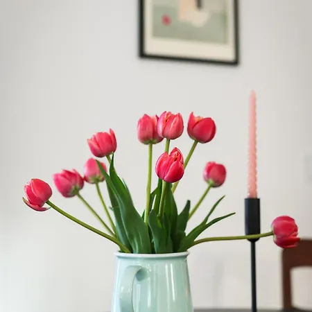 公寓 In Der Marbacher Gasse 埃尔福特