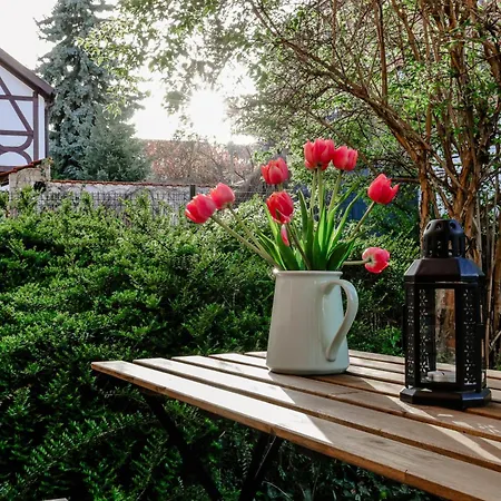 In Der Marbacher Gasse 公寓 埃尔福特