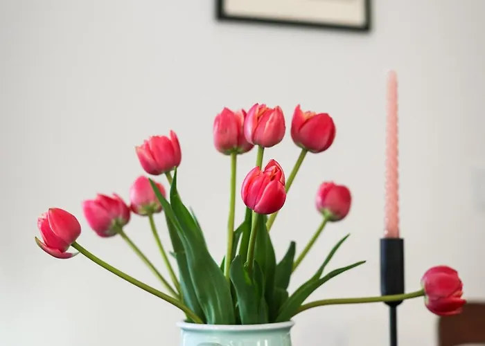 Lägenhet In Der Marbacher Gasse Erfurt